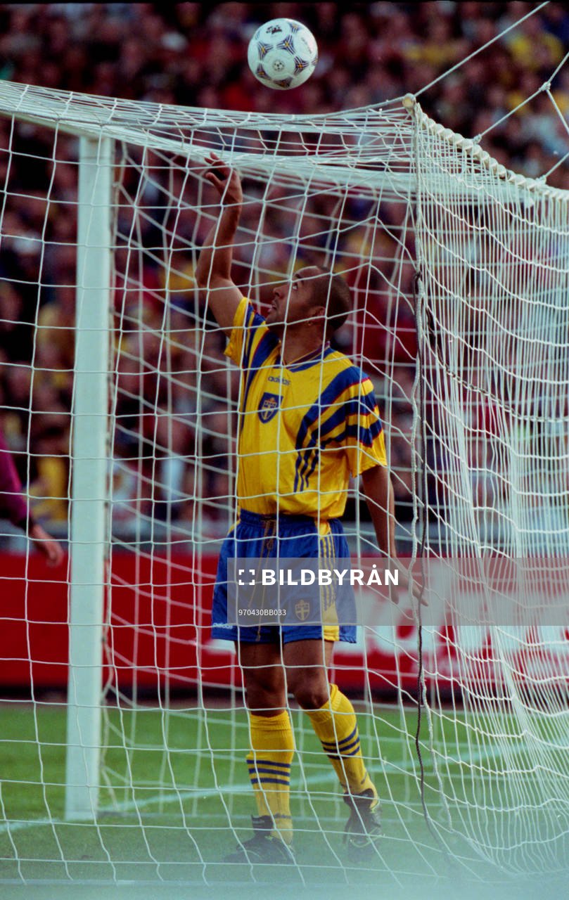 Martin Dahlin, Sverige