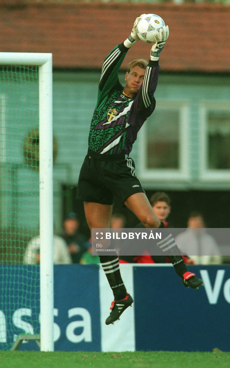 Bengt Andersson, Sverige