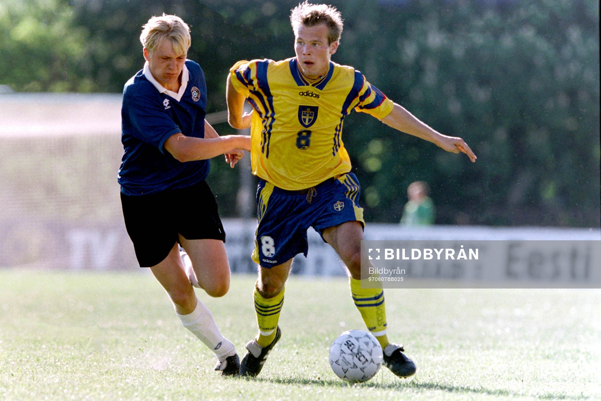 Fredrik Ljungberg, Sverige