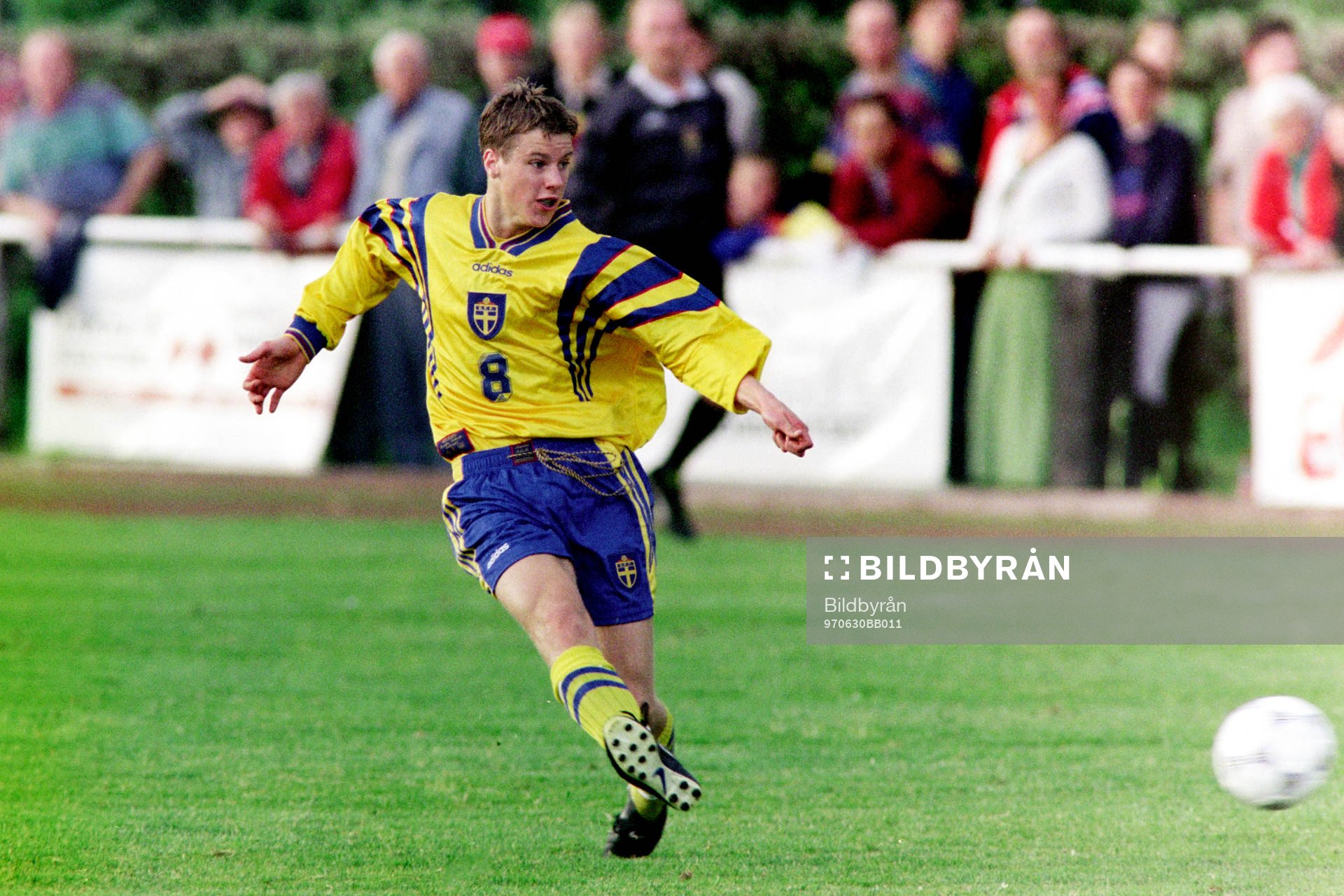 Pontus Farnerud, Sverige