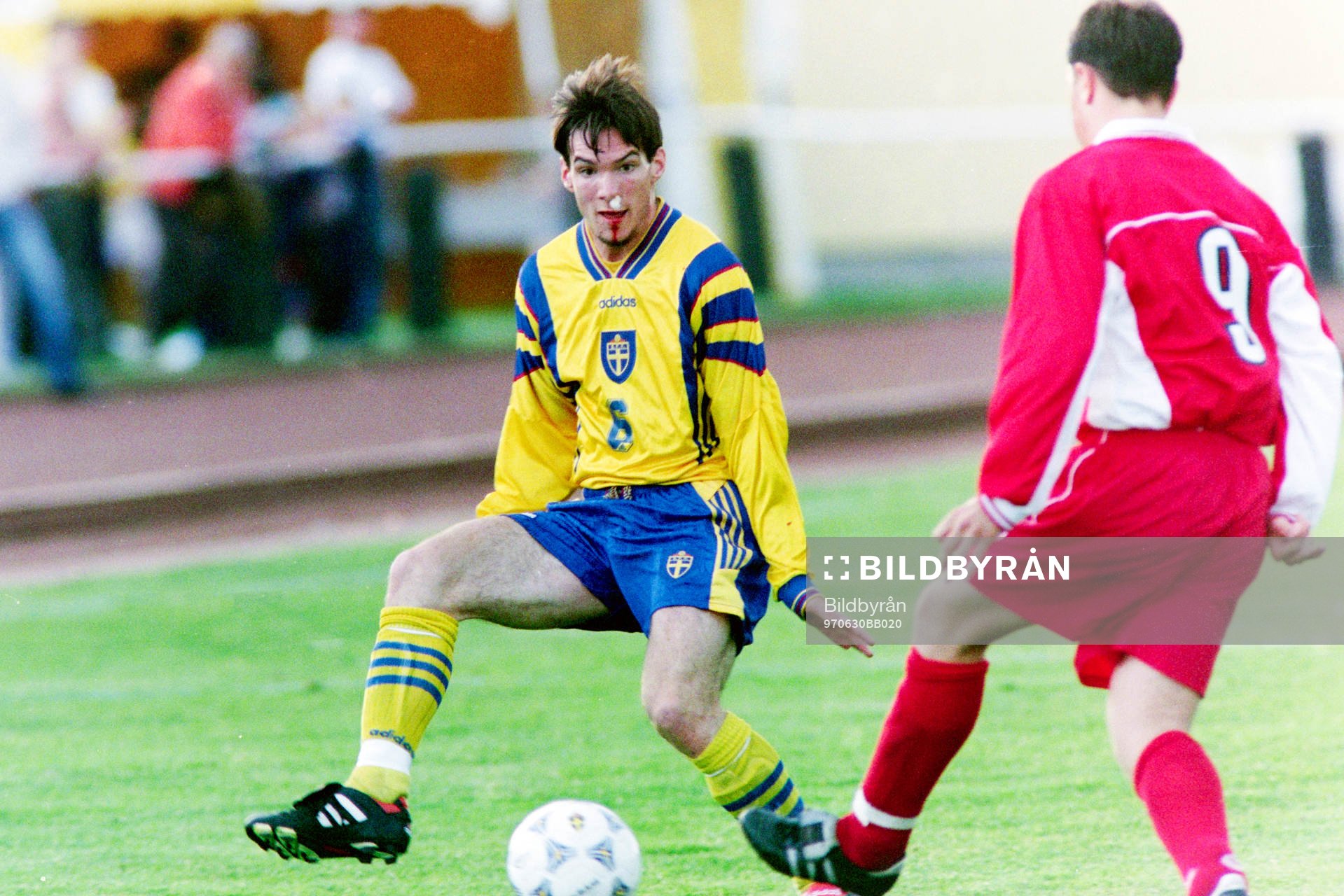Pontus Farnerud, Sverige