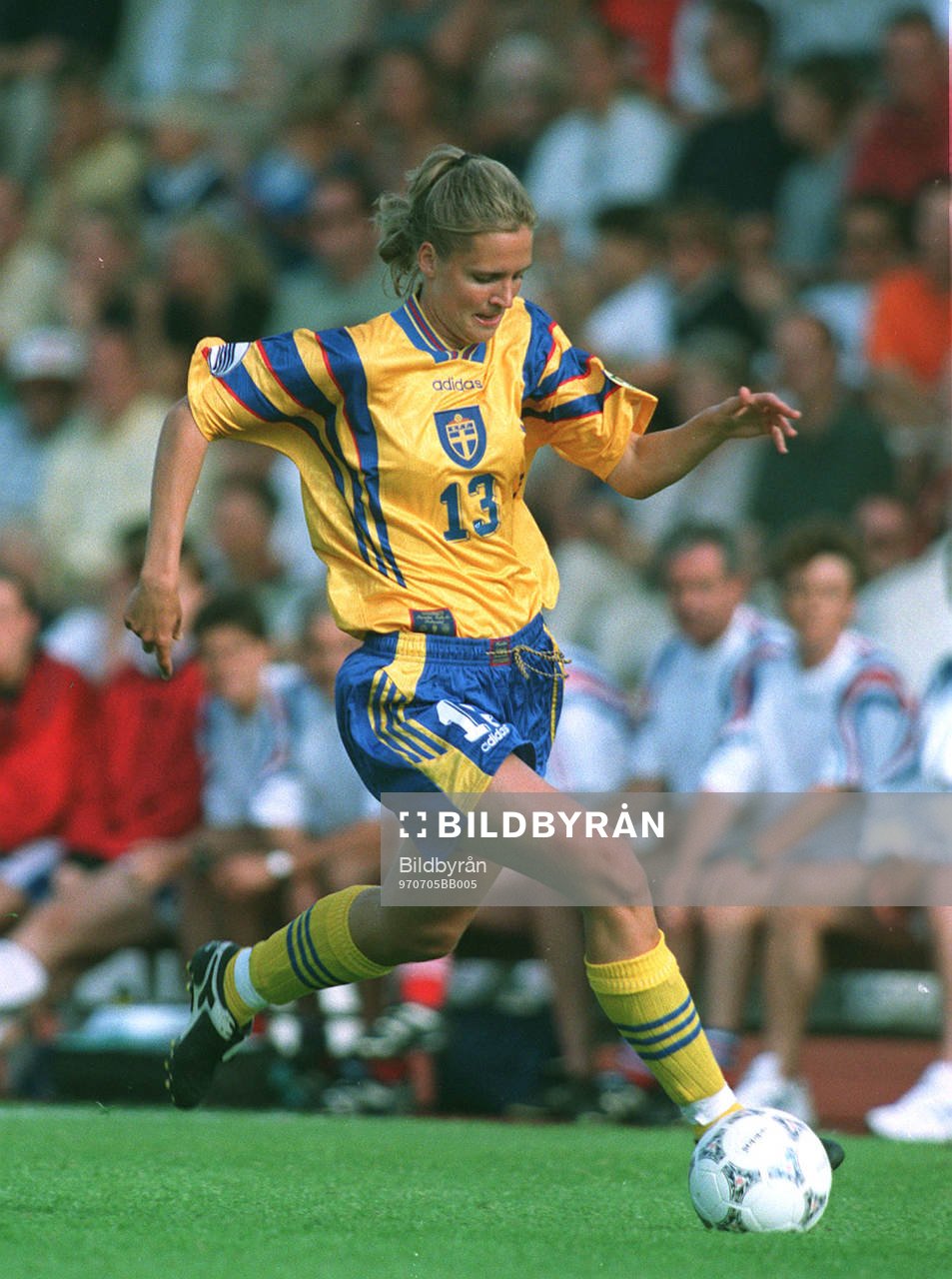 Anneli Wahlgren, Sverige