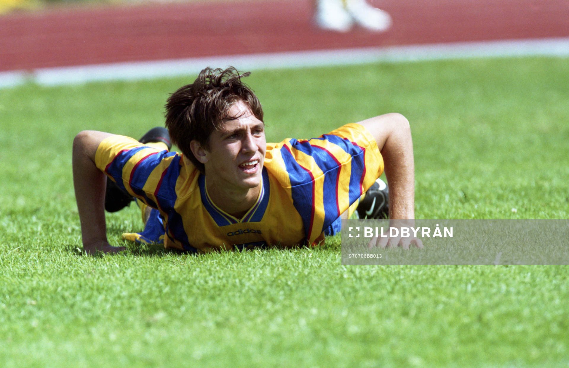 Tony Flygare, Sverige
