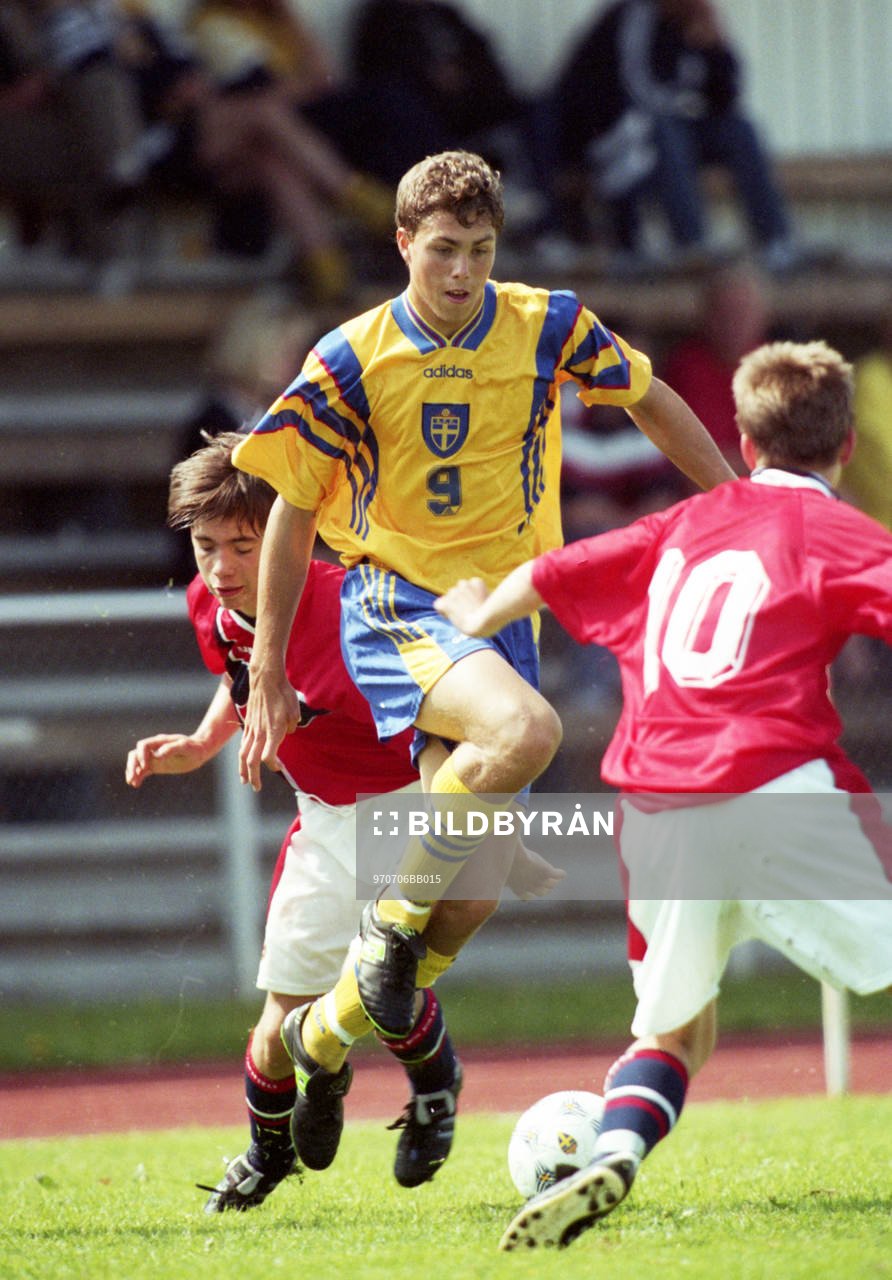 Johan Elmander, Sverige