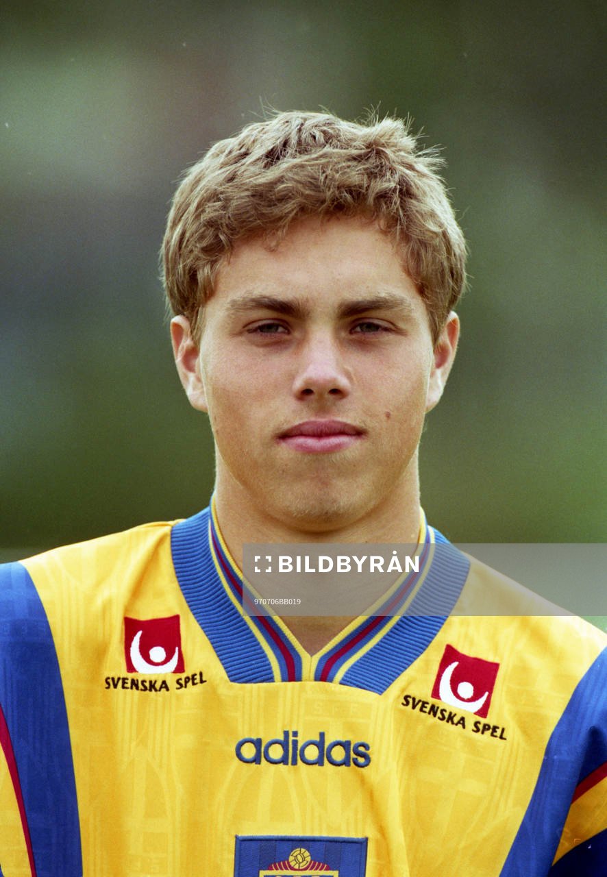 Johan Elmander, Sverige