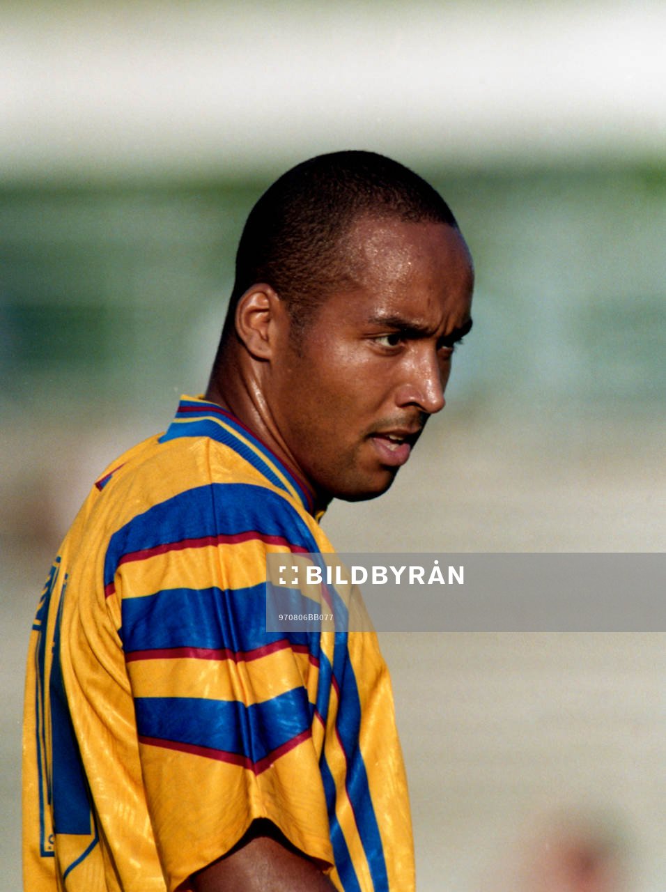 Martin Dahlin, Sverige