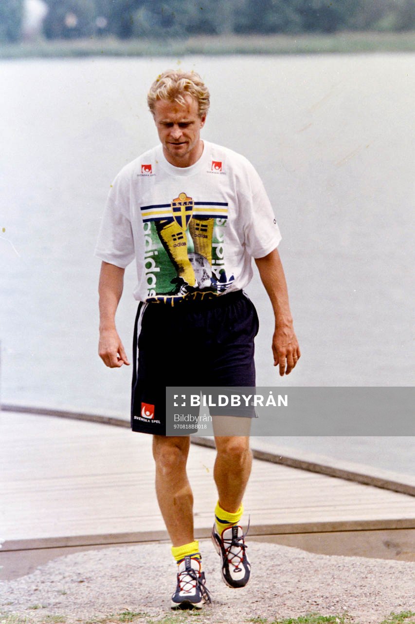 Jonas Thern, Sverige