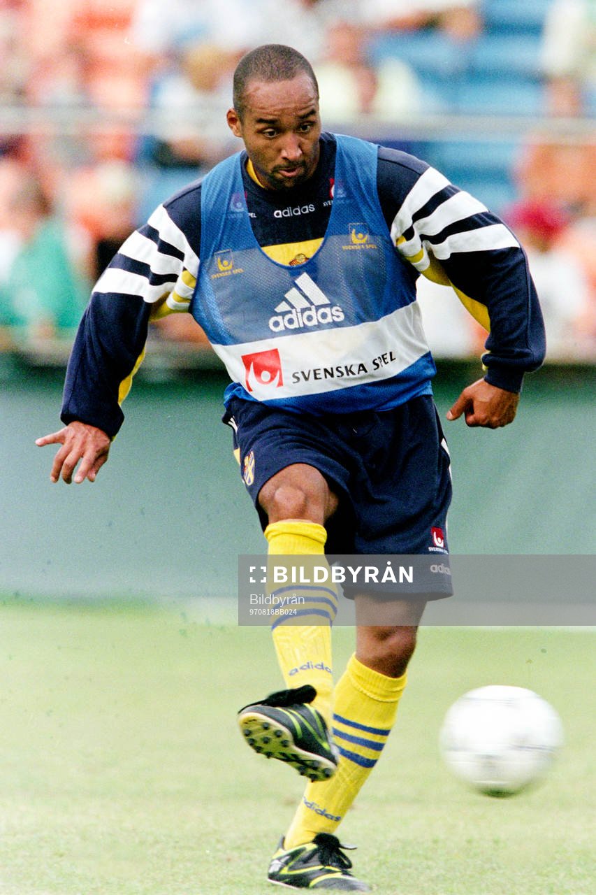 Martin Dahlin, Sverige