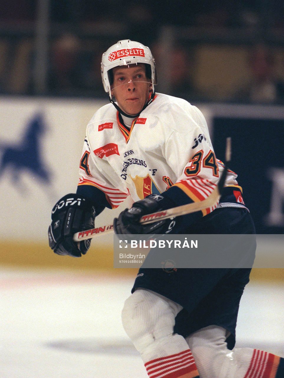Daniel Tjärnqvist, Djurgården