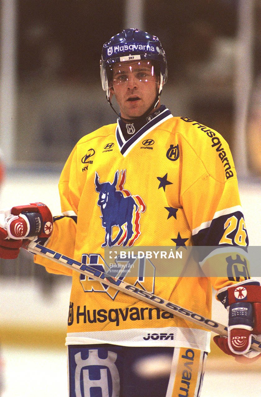 Ishockey Stefan Falk, HV 71