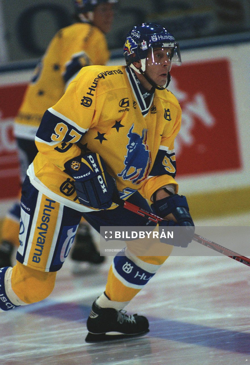 Ishockey Anatoli Fedotov, HV 71
