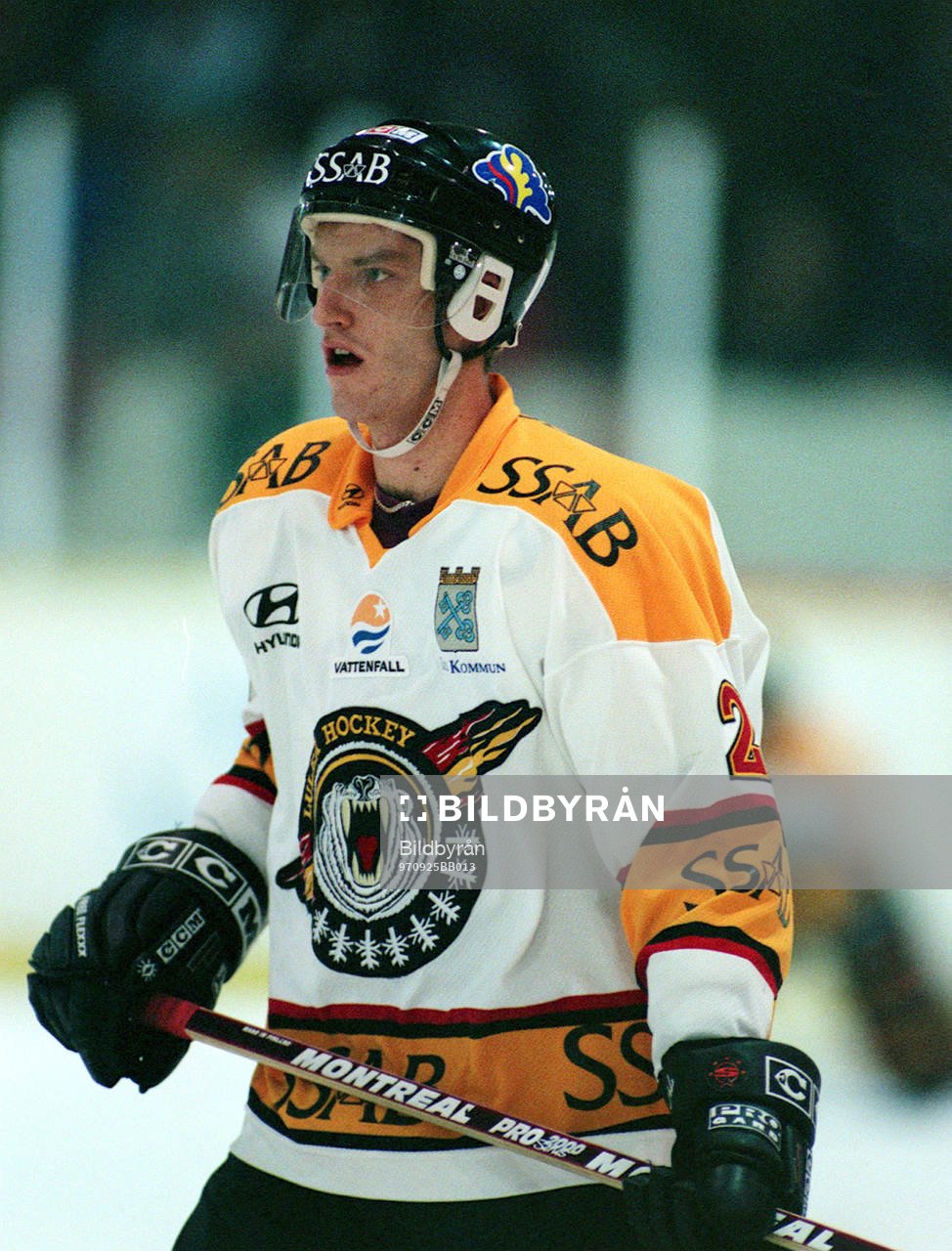 Ishockey Johan Finnström, Luleå