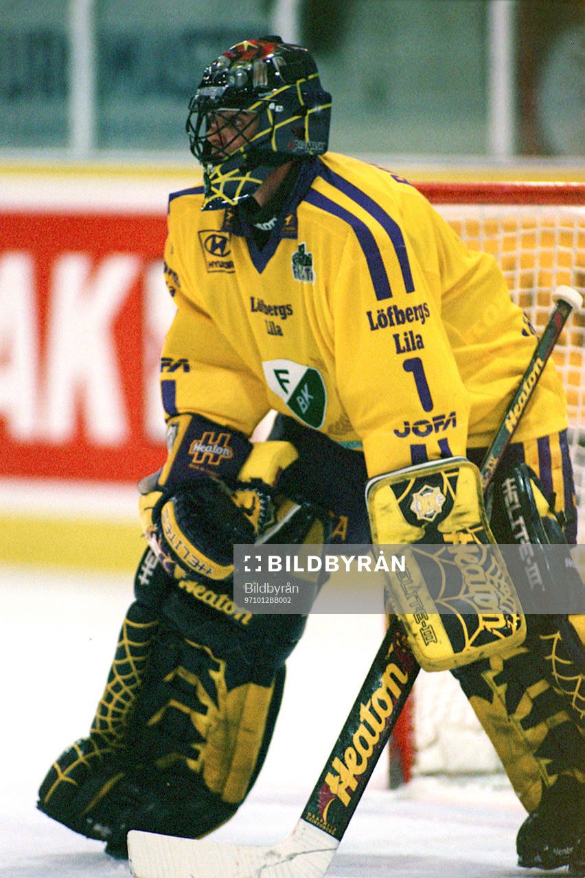 Ishockey Boris Rousson, målvakt Färjestad