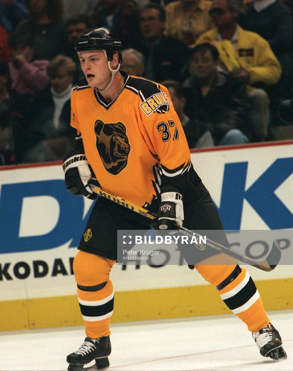 Ishockey Mattias Timander, Boston Bruins