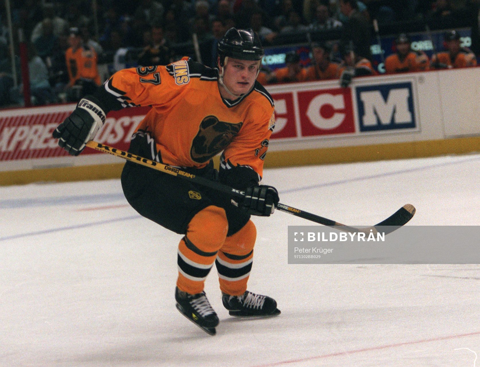 Ishockey Mattias Timander, Boston Bruins