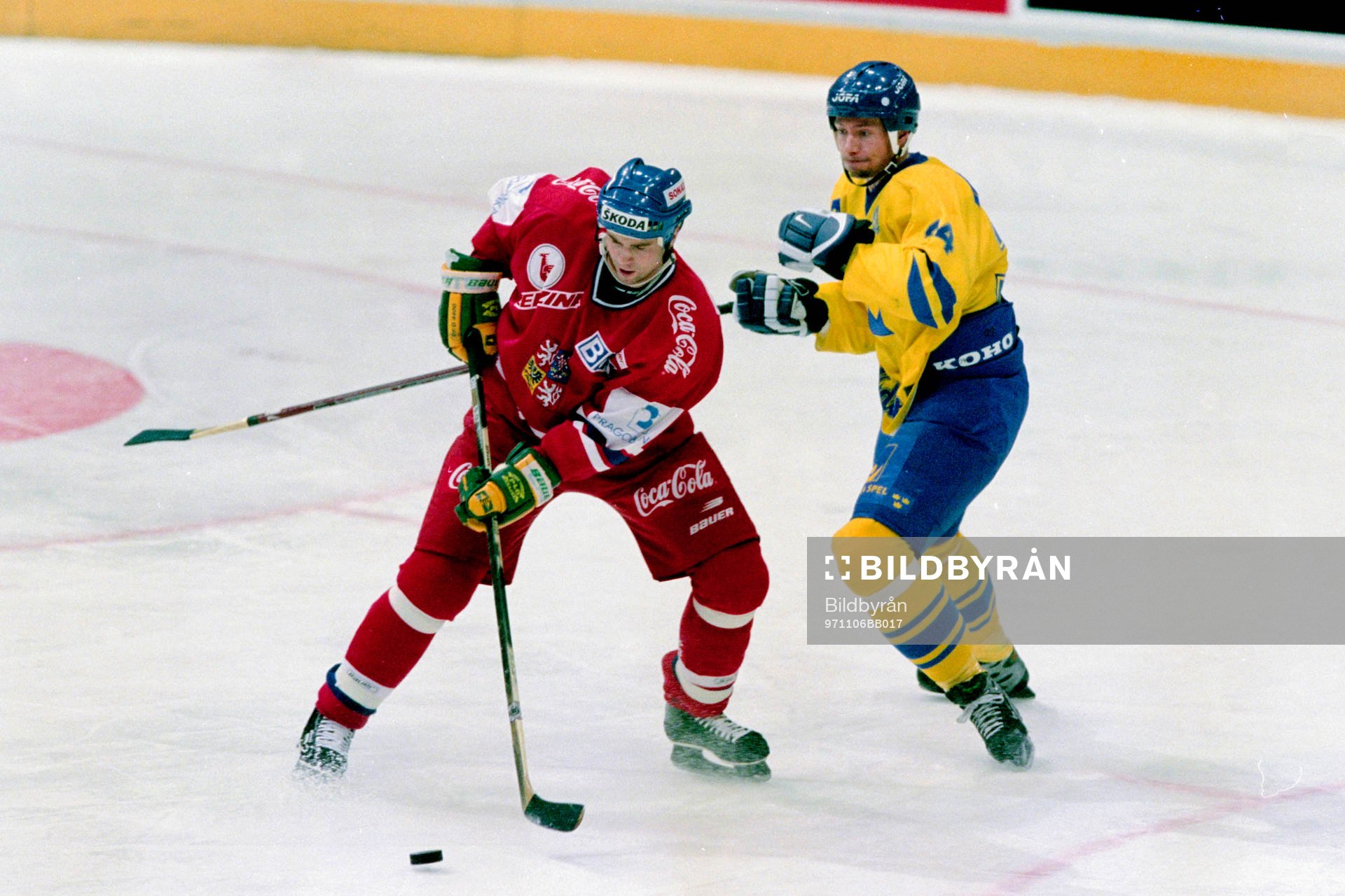 Roger Johansson, Sverige