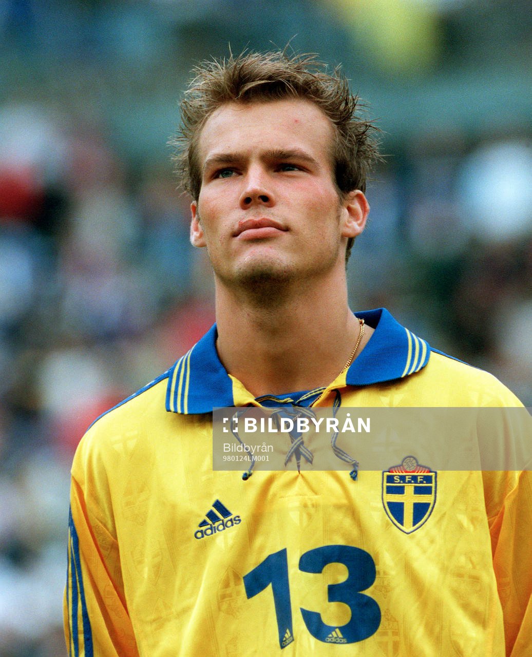 Fredrik Ljungberg, Sverige