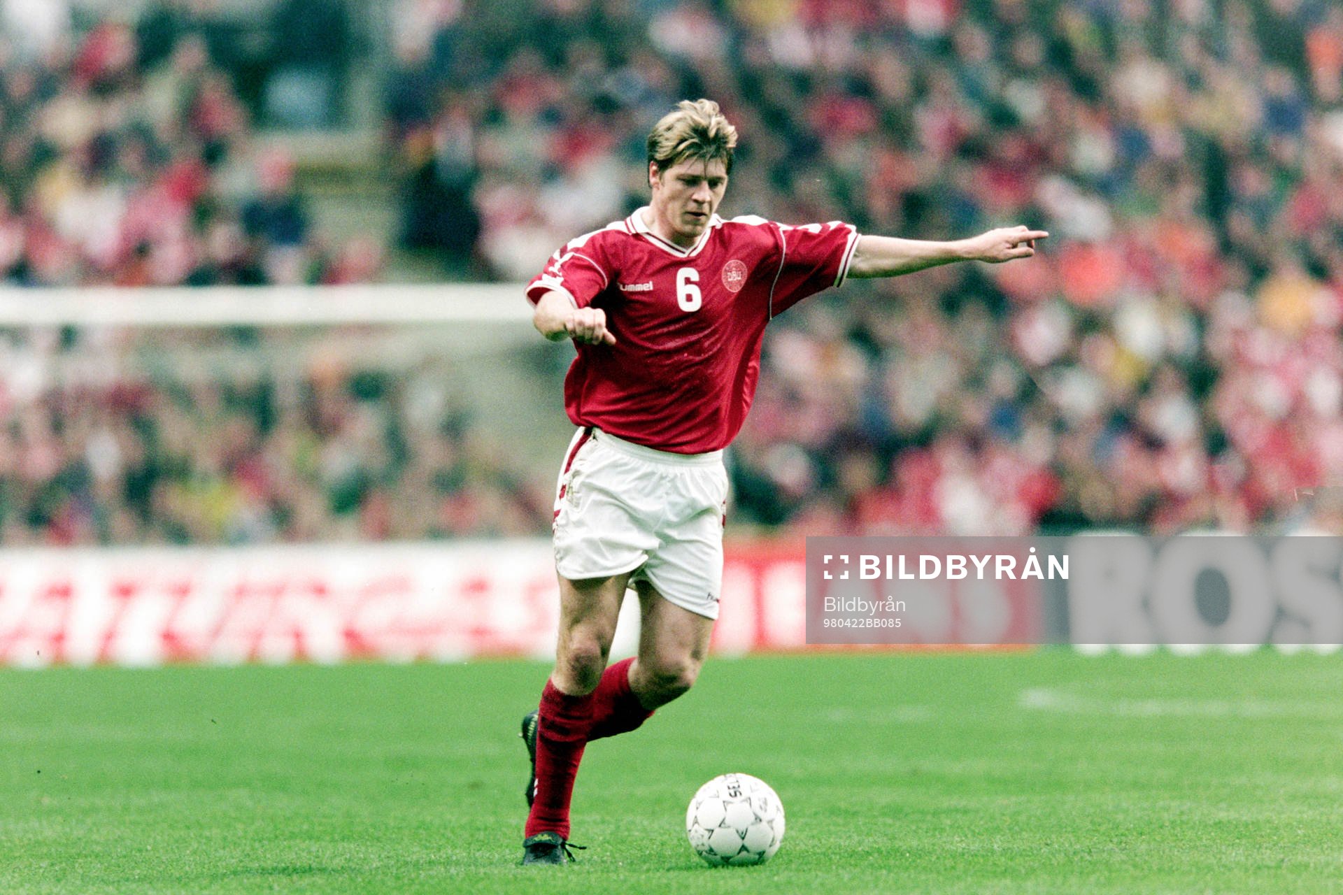 Thomas Helveg, Danmark