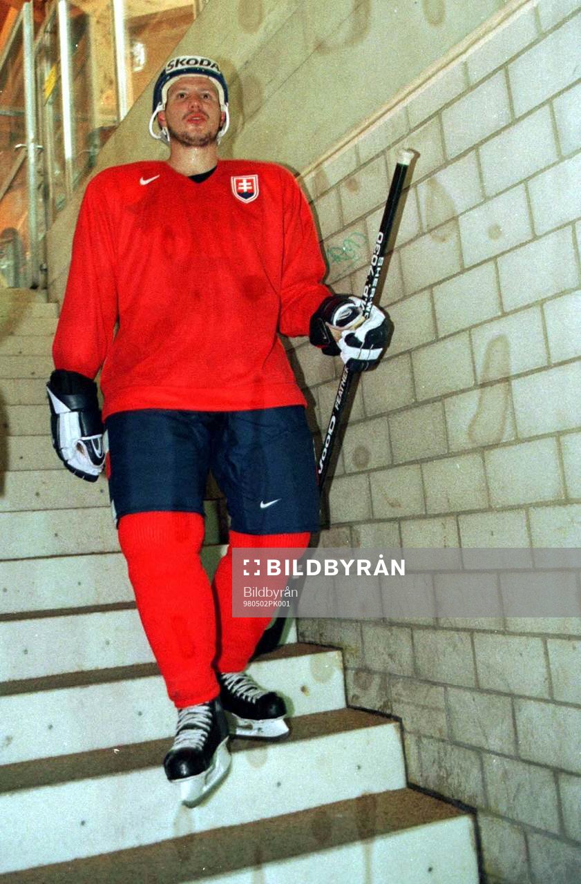 Robert Svehla, Slovakien