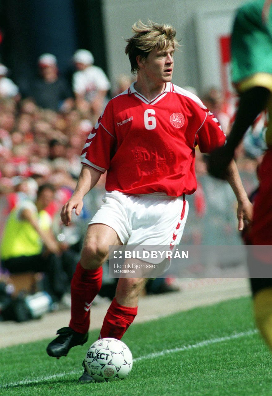 Thomas Helveg, Danmark