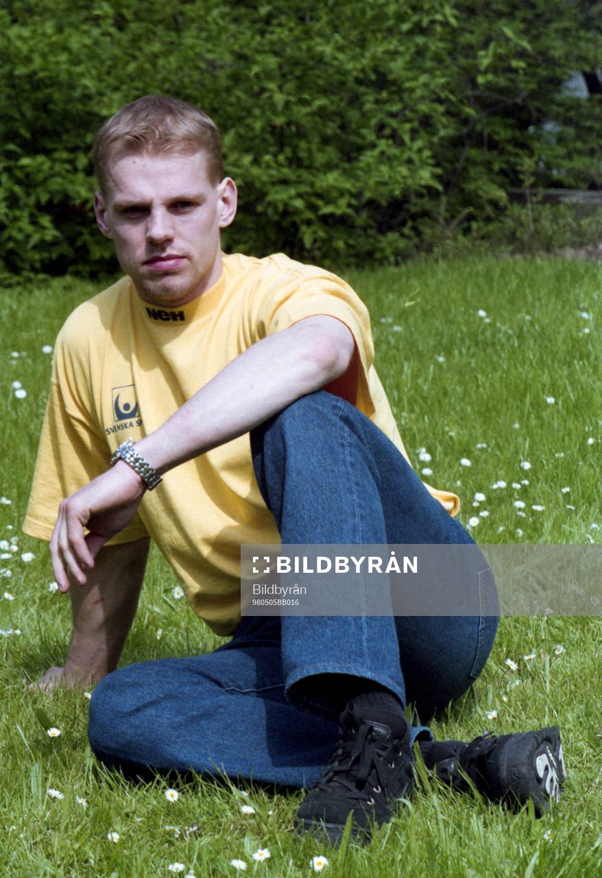 Niklas Hävelid, Sverige
