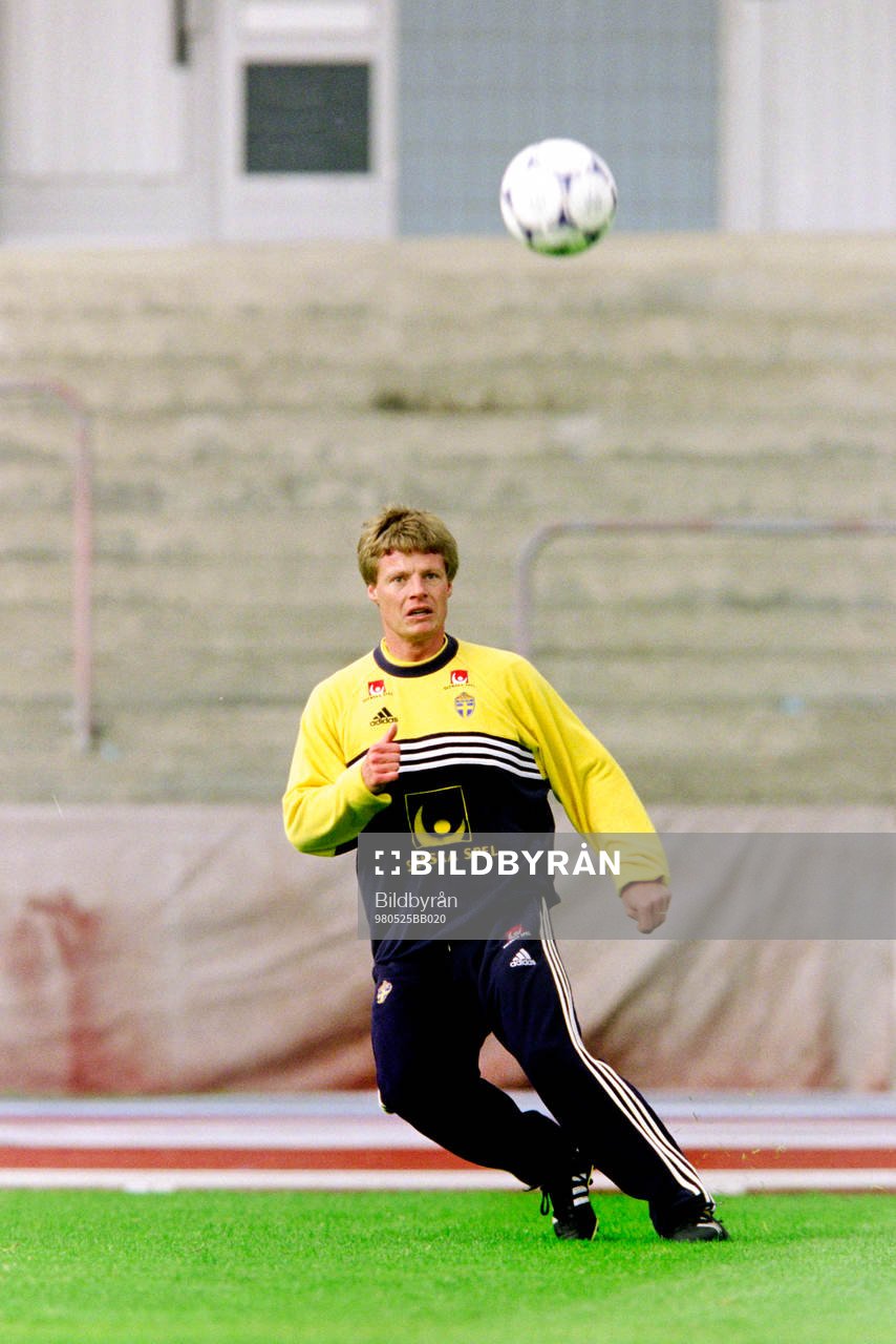 Stefan Schwarz, Sverige