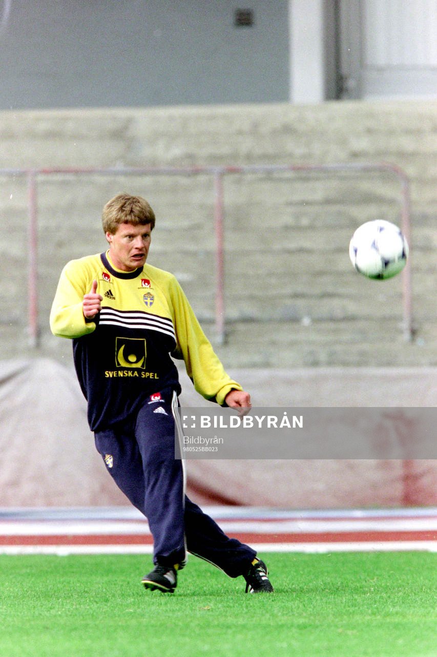 Stefan Schwarz, Sverige