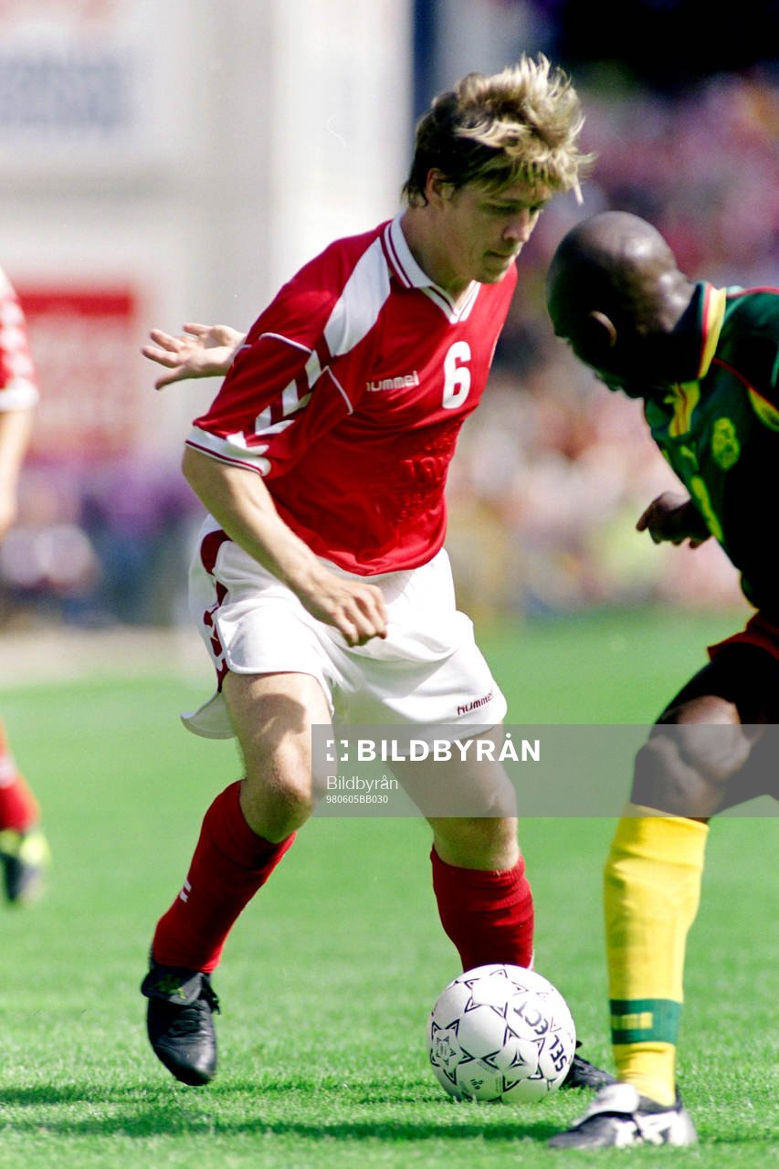 Thomas Helveg, Danmark
