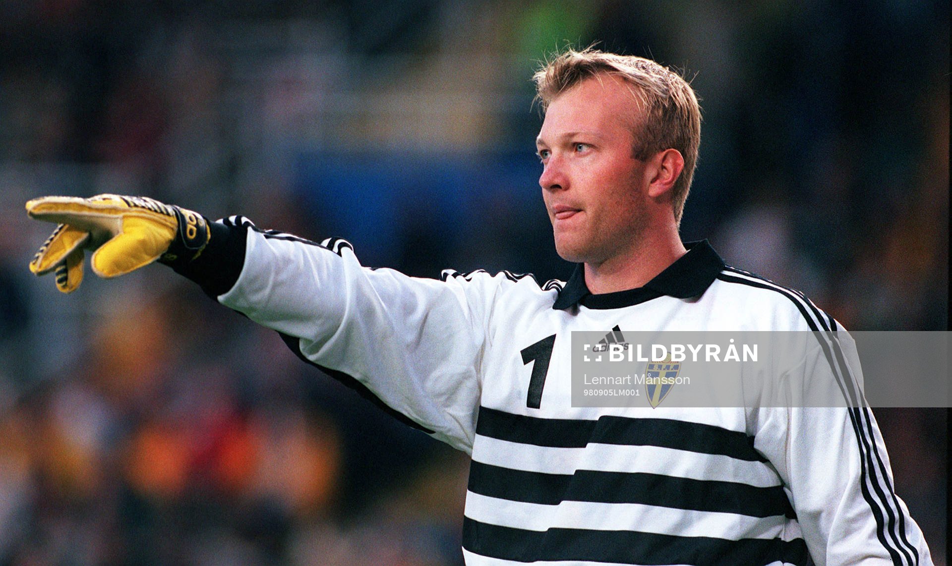 Magnus Hedman, Sverige
