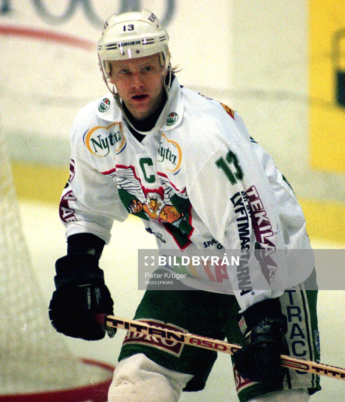 Roger Elvenes, Rögle