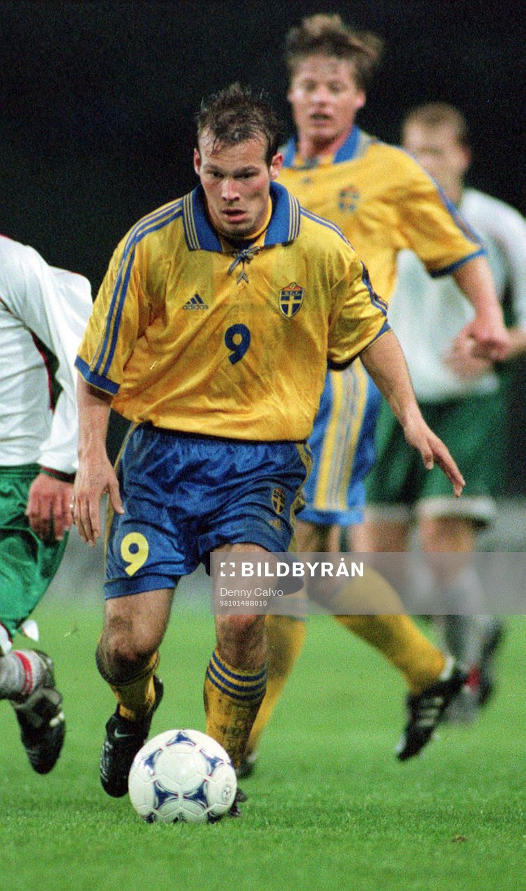 Fredrik Ljungberg, Sverige