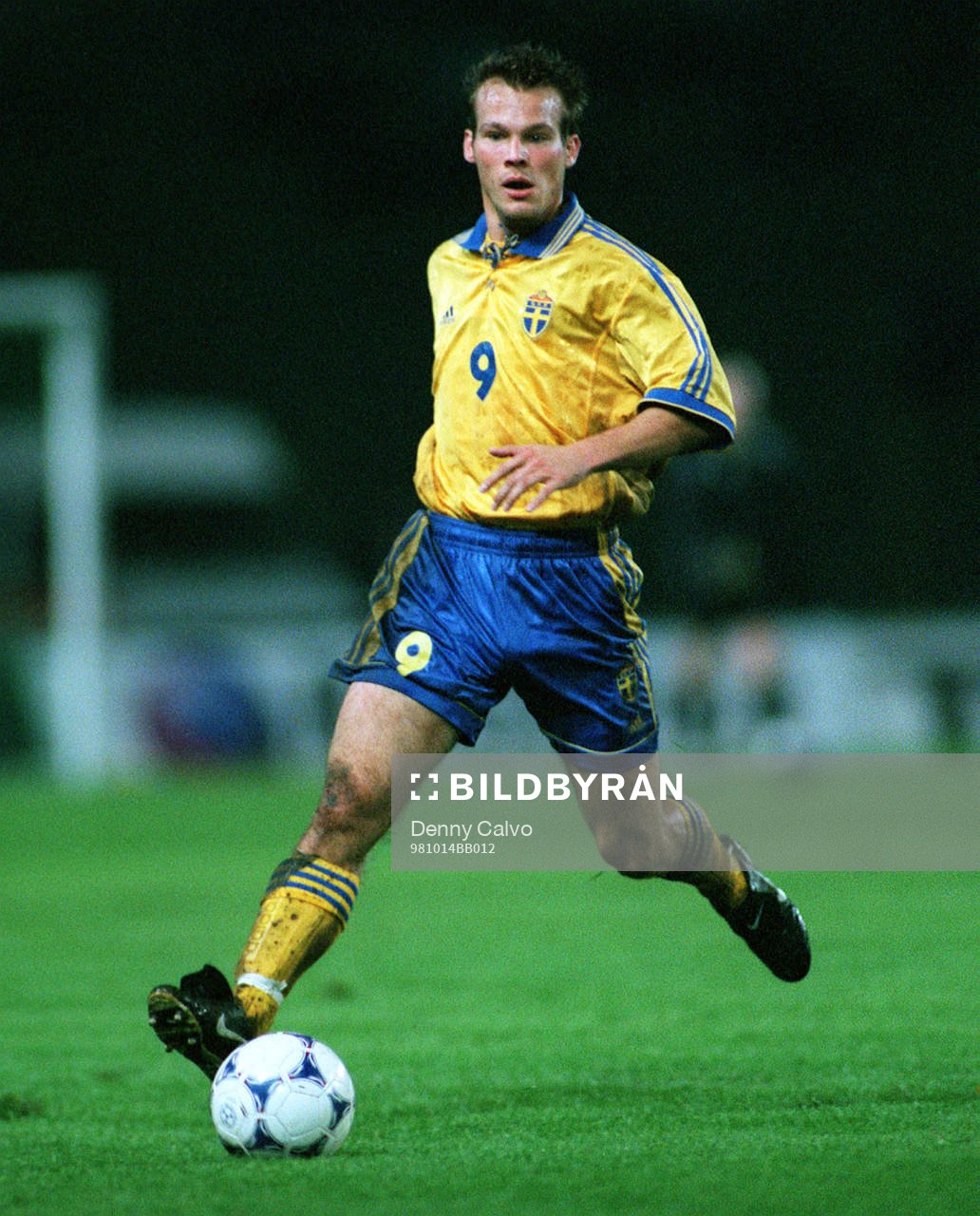 Fredrik Ljungberg, Sverige