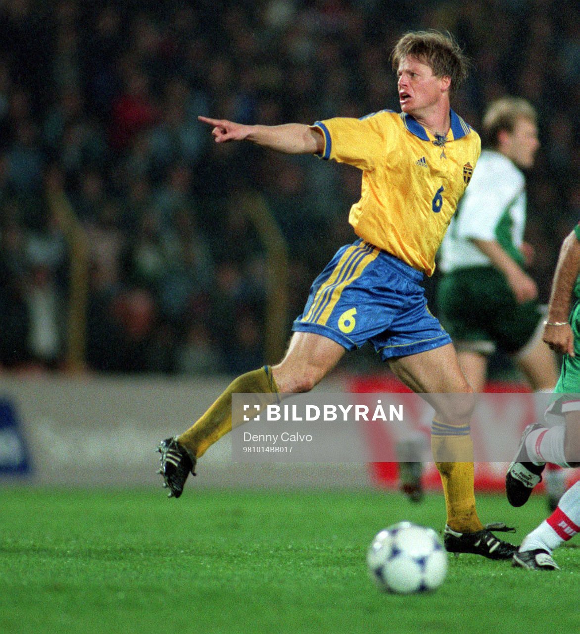 Stefan Schwarz, Sverige
