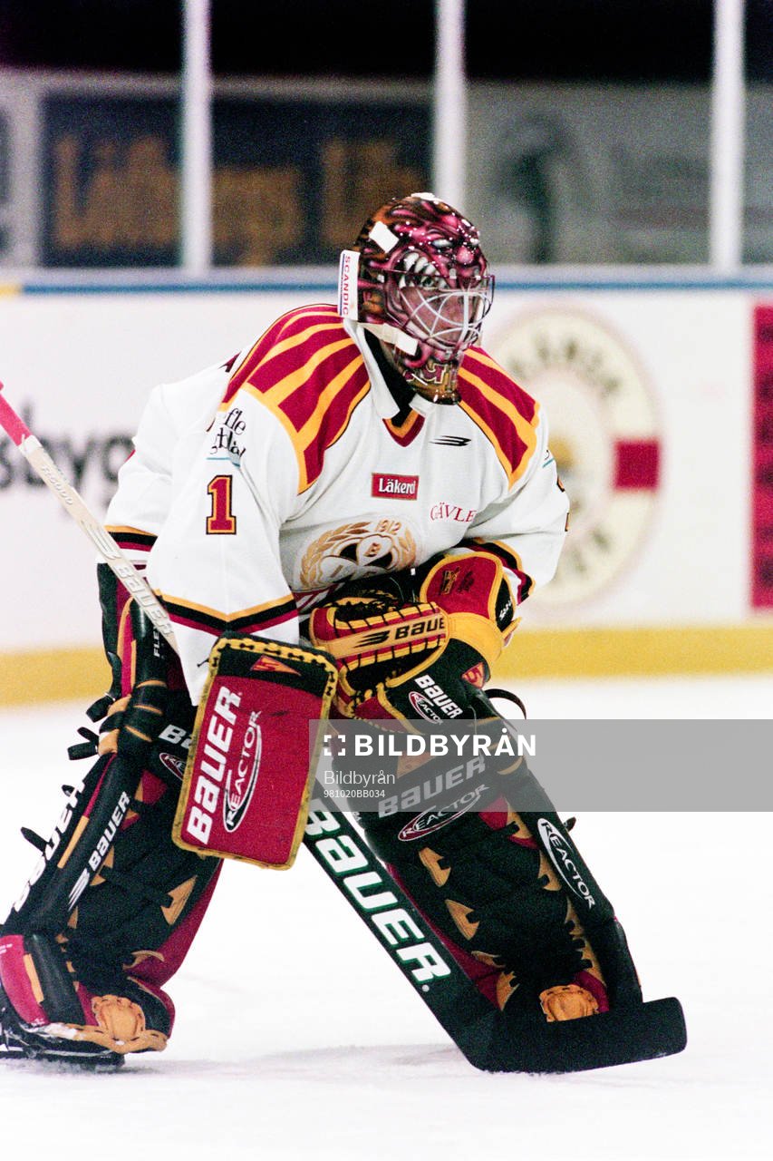 Johan Holmqvist, Målvakt, Brynäs