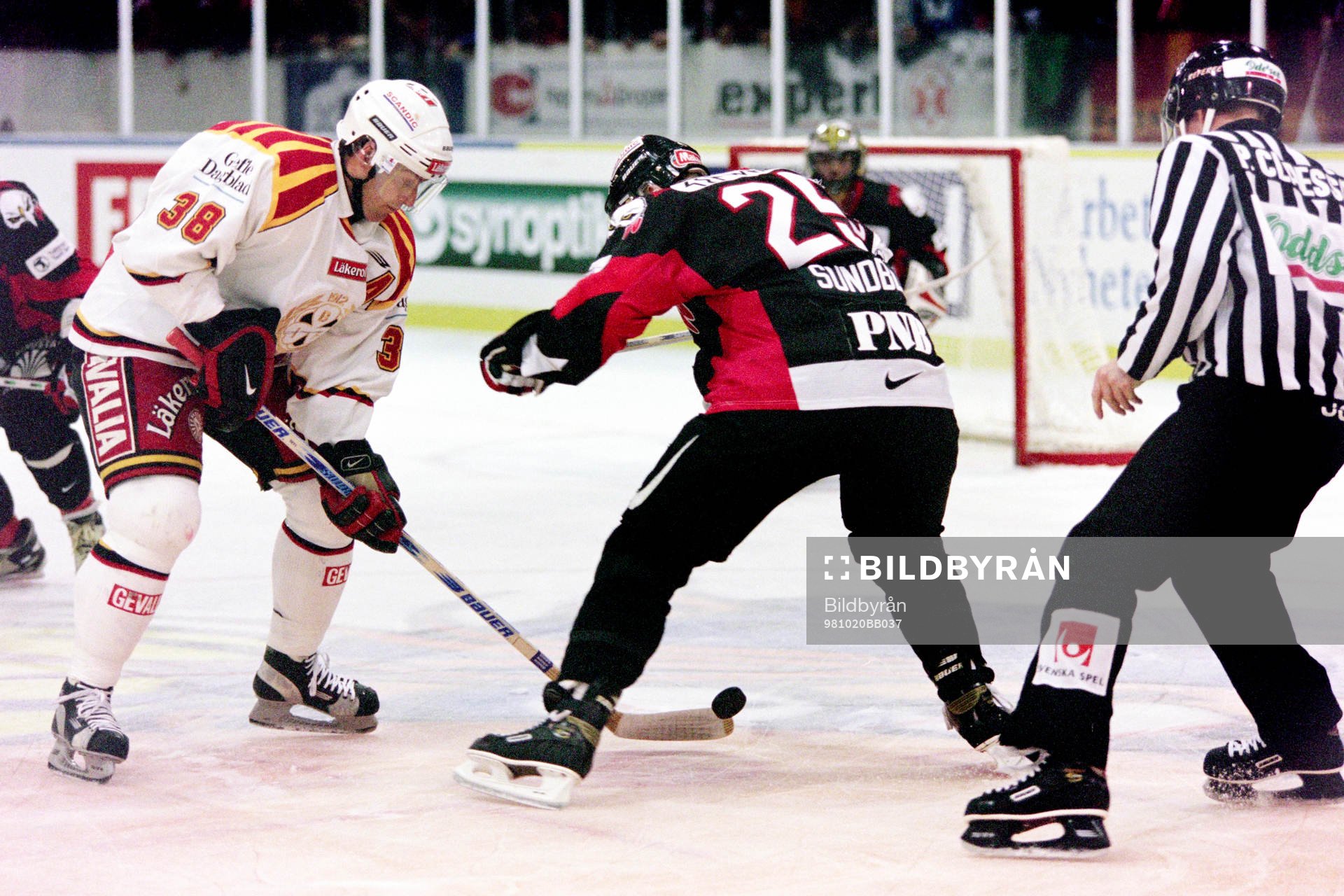 Janne Larsson, Brynäs och Niclas Sundblad, Malmö