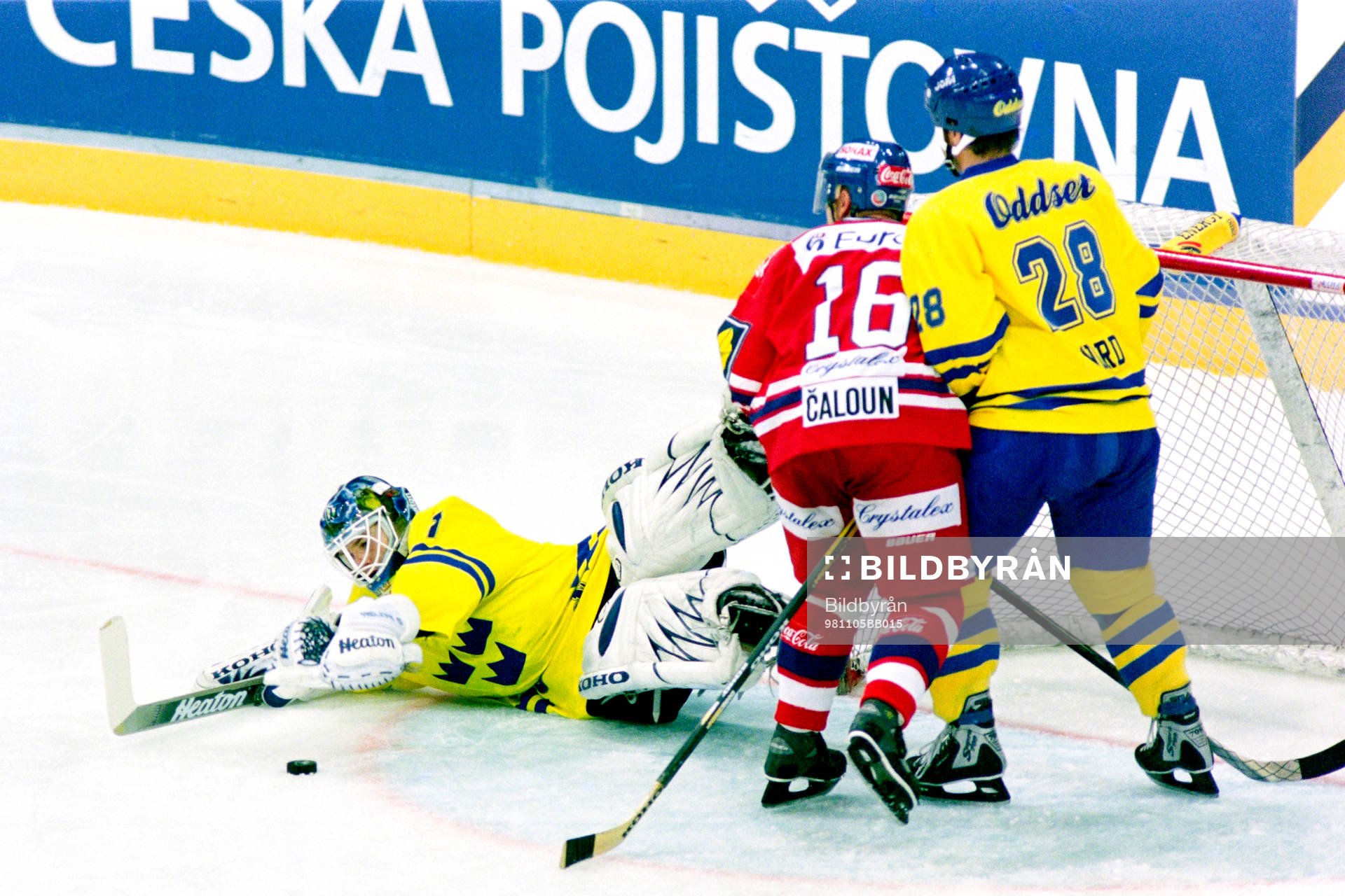 Johan Hedberg, Målvakt, Sverige