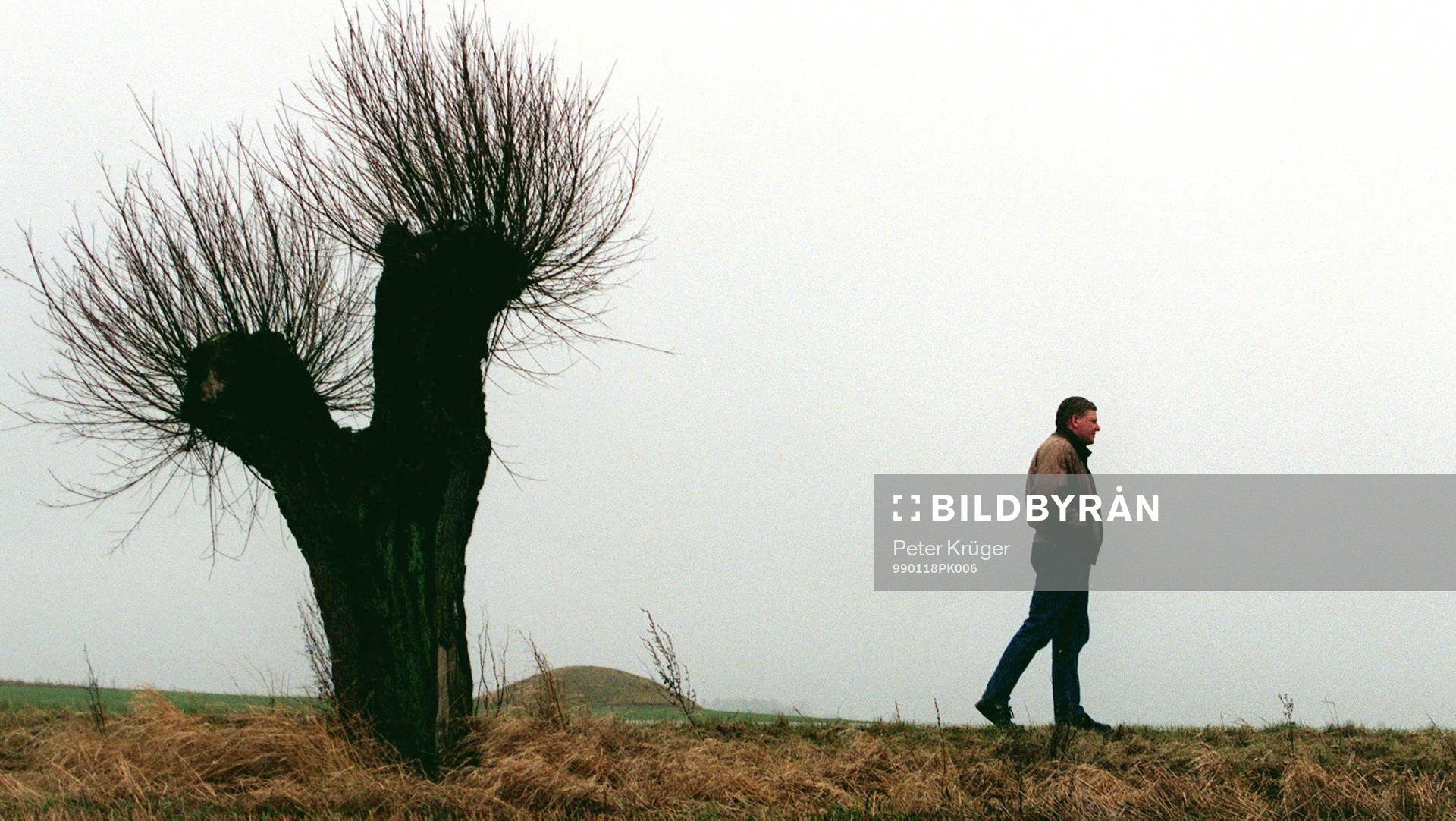 Alf Westerberg, tränare Trelleborgs FF