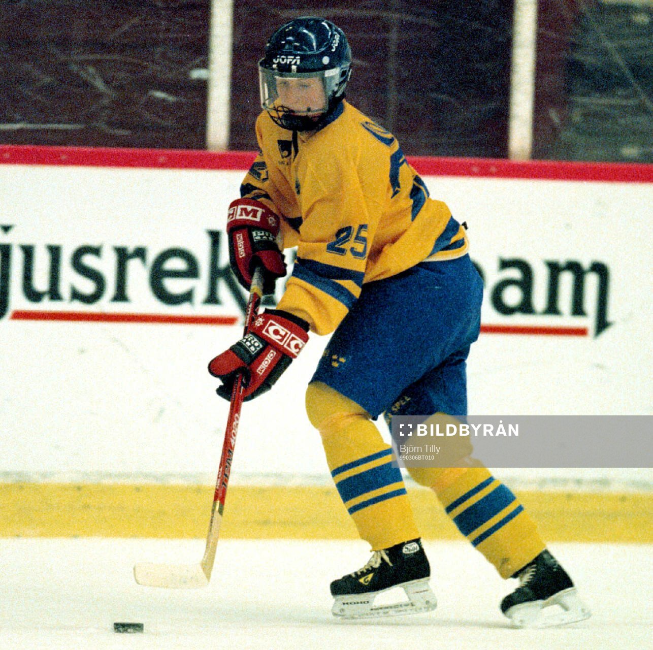 Therese Sjölander, Sverige