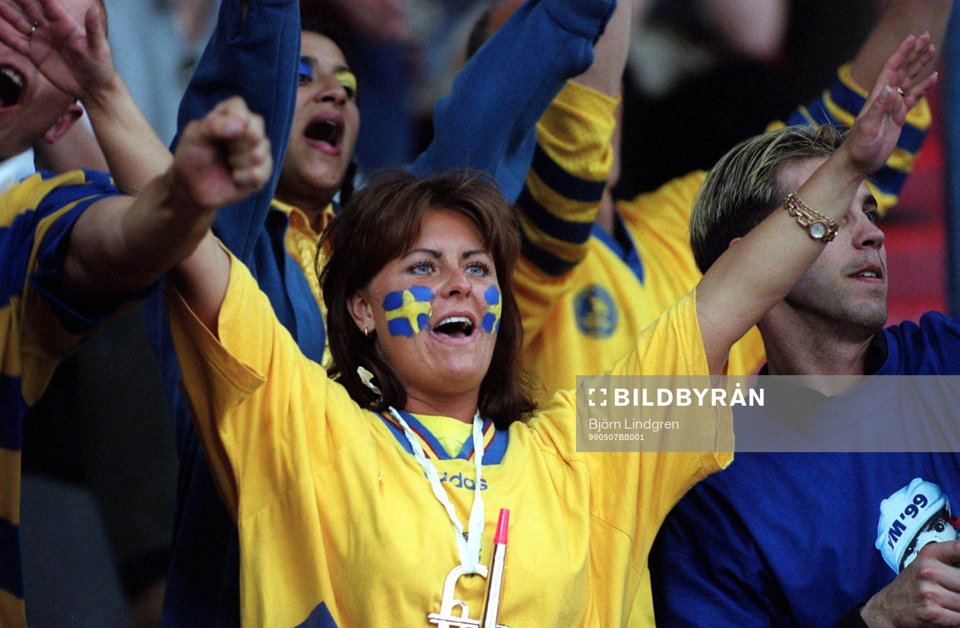 Supporter, Sverige