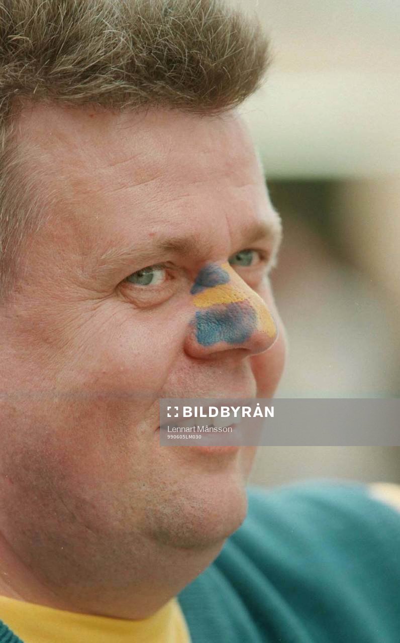 Supporter, Sverige
