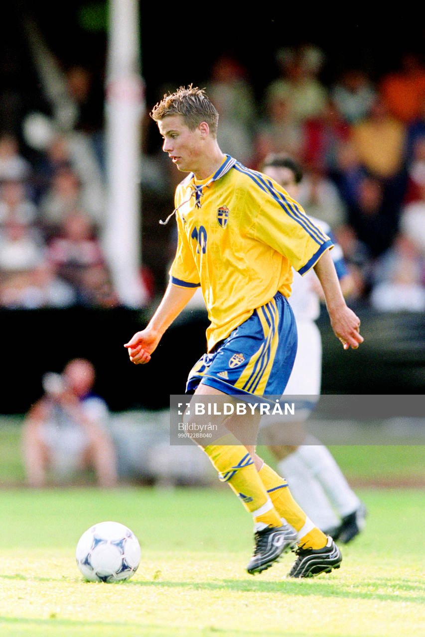 Pontus Farnerud, Sverige