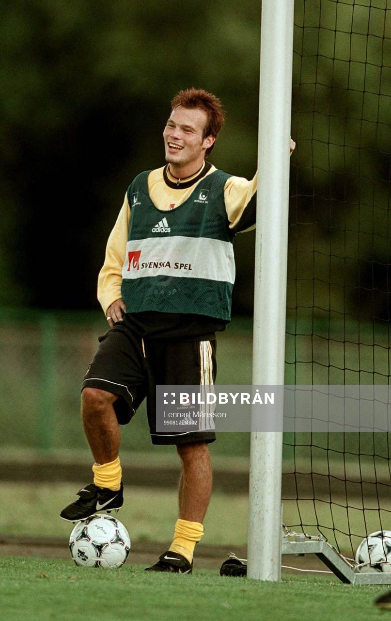 Fredrik Ljungberg, Sverige