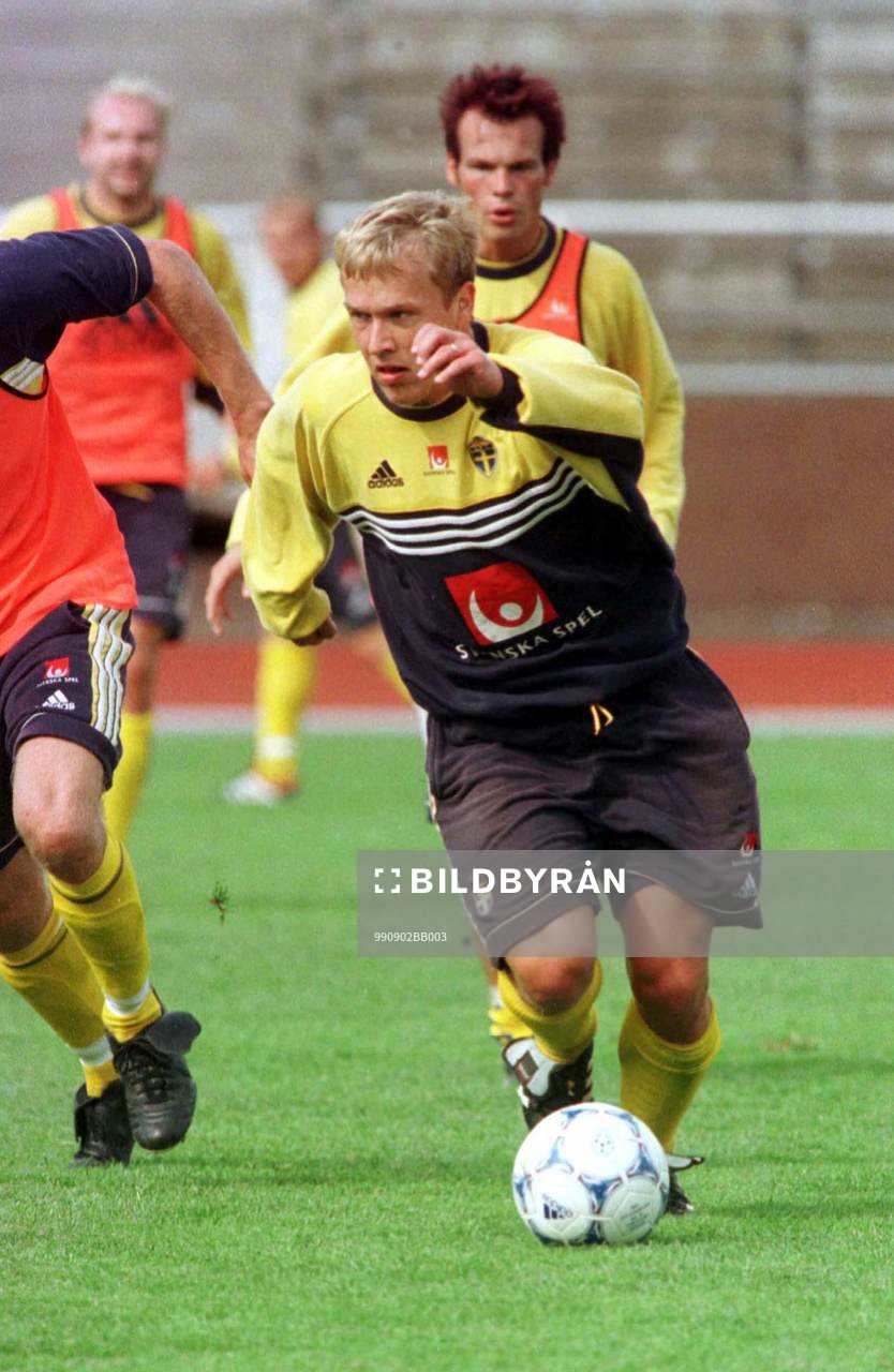 Pär Zetterberg, Sverige