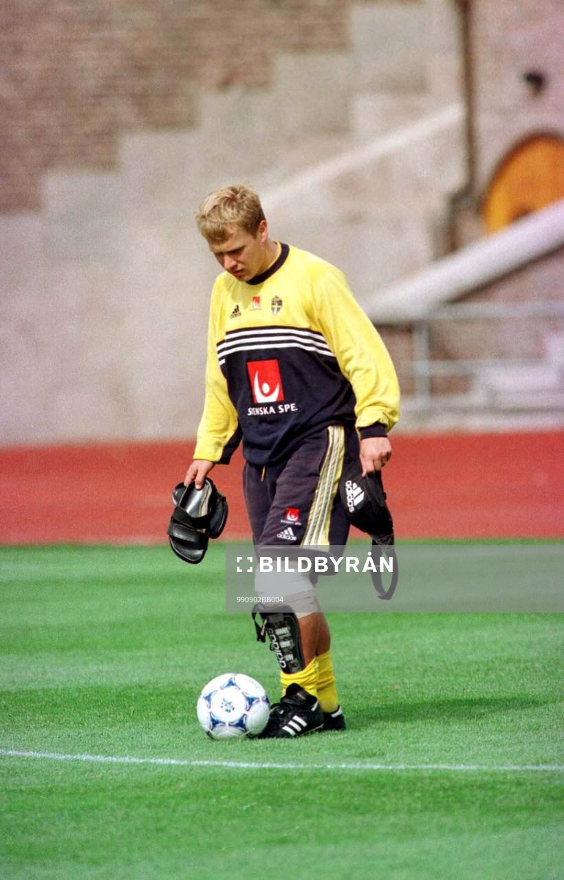 Pär Zetterberg, Sverige
