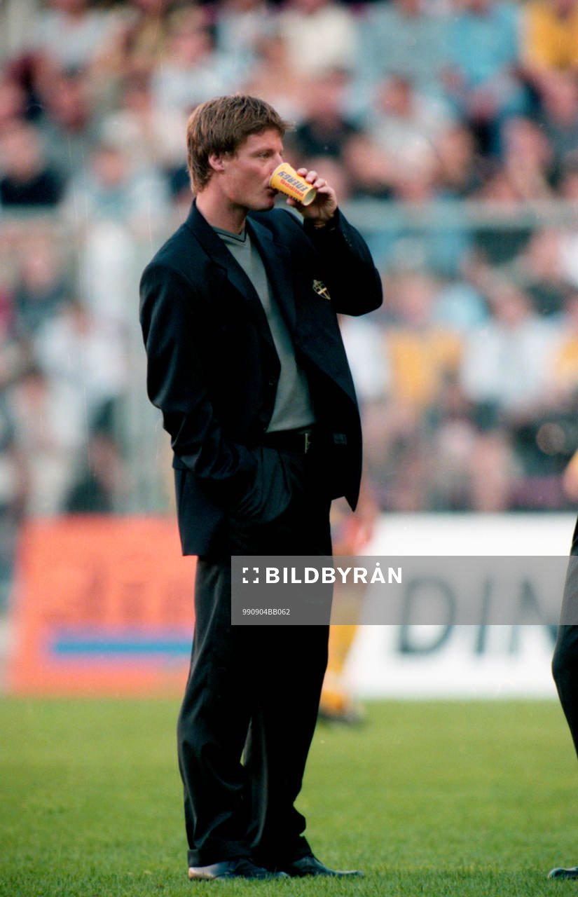 Stefan Schwarz, Sverige