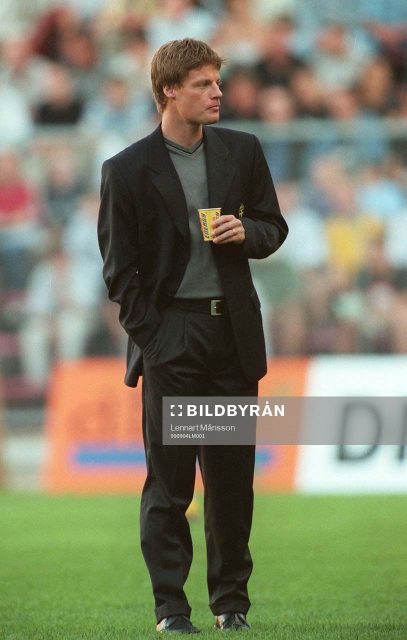 Stefan Schwarz, Sverige