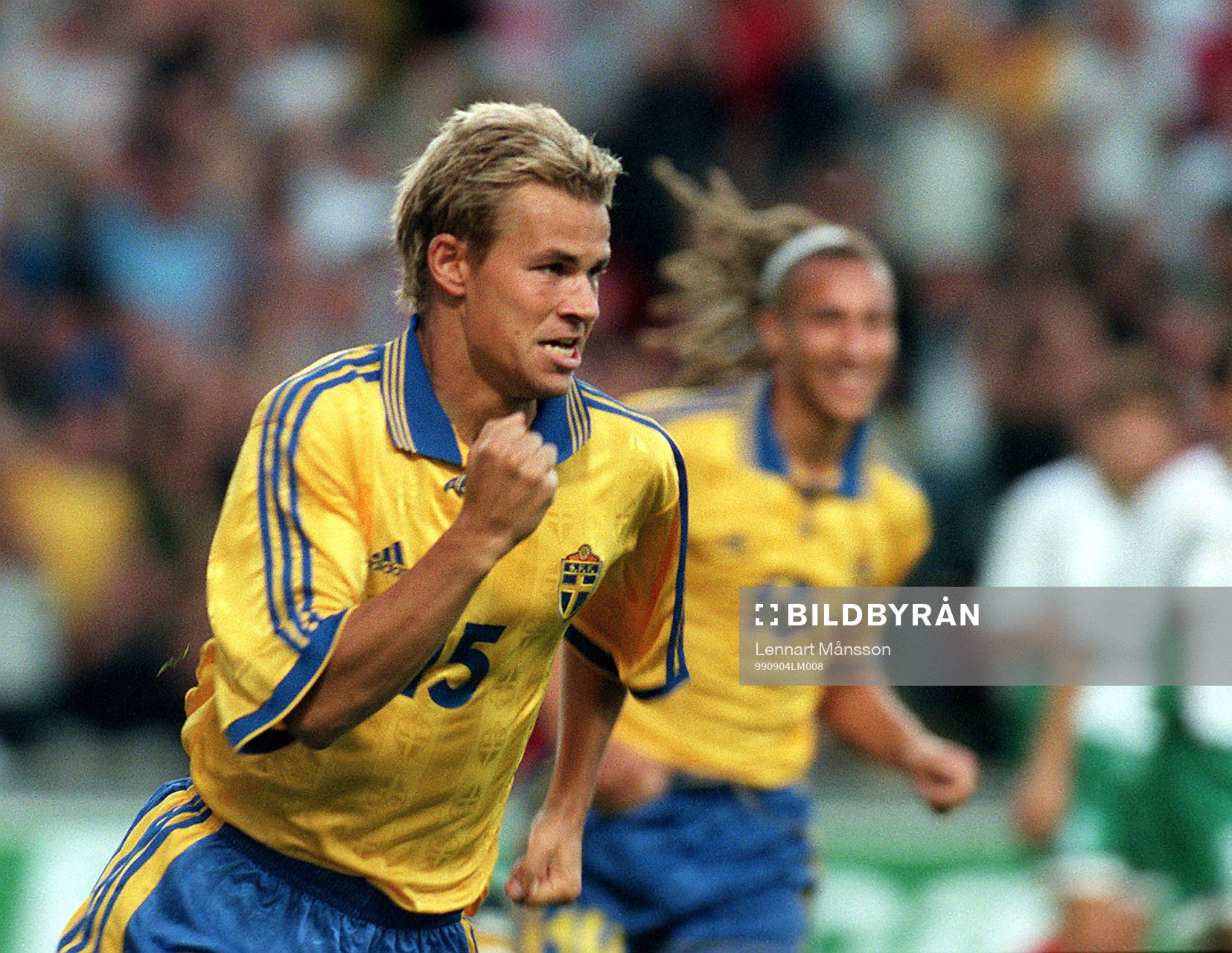 Niclas Alexandersson, Sverige