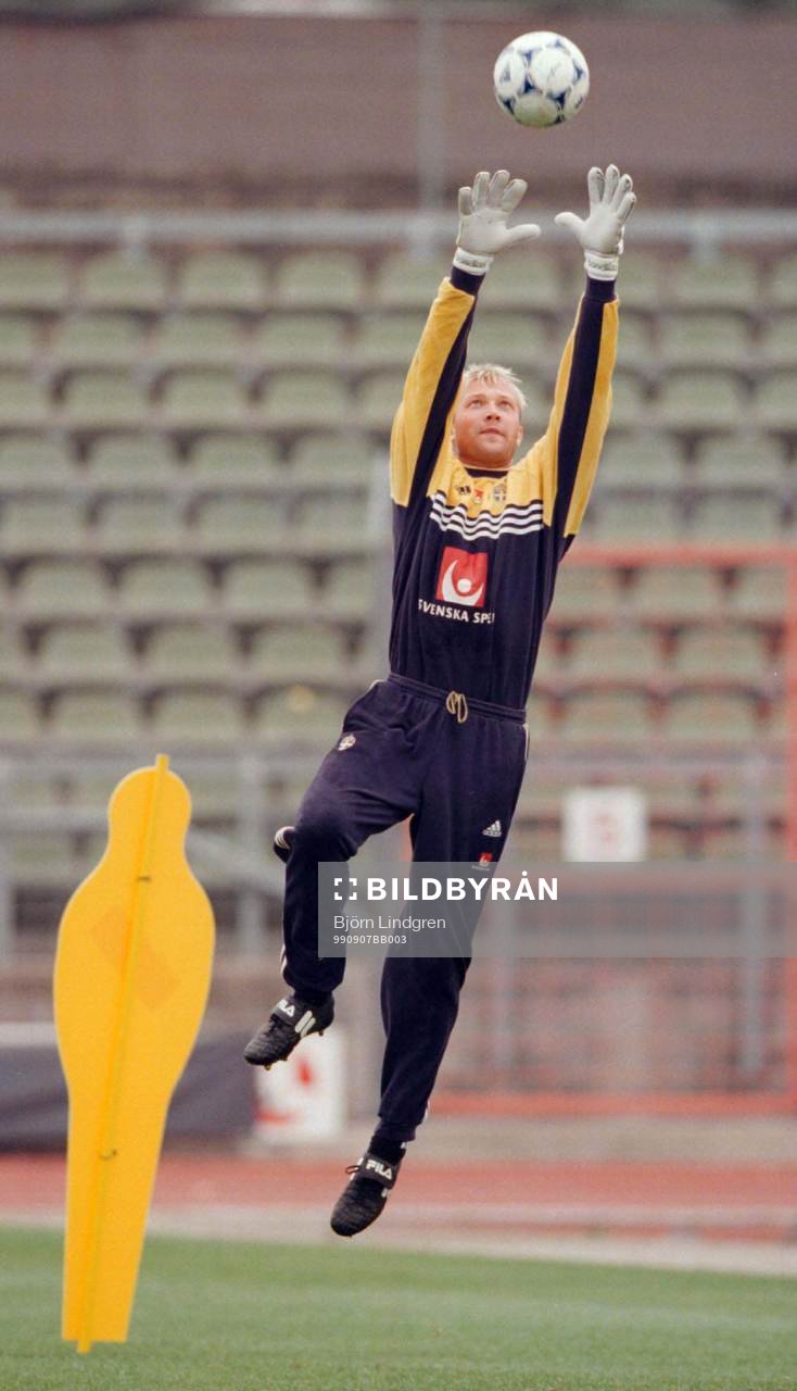 Magnus Hedman, Sverige