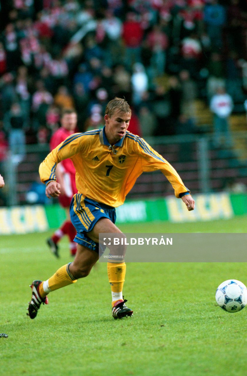 Niclas Alexandersson, Sverige