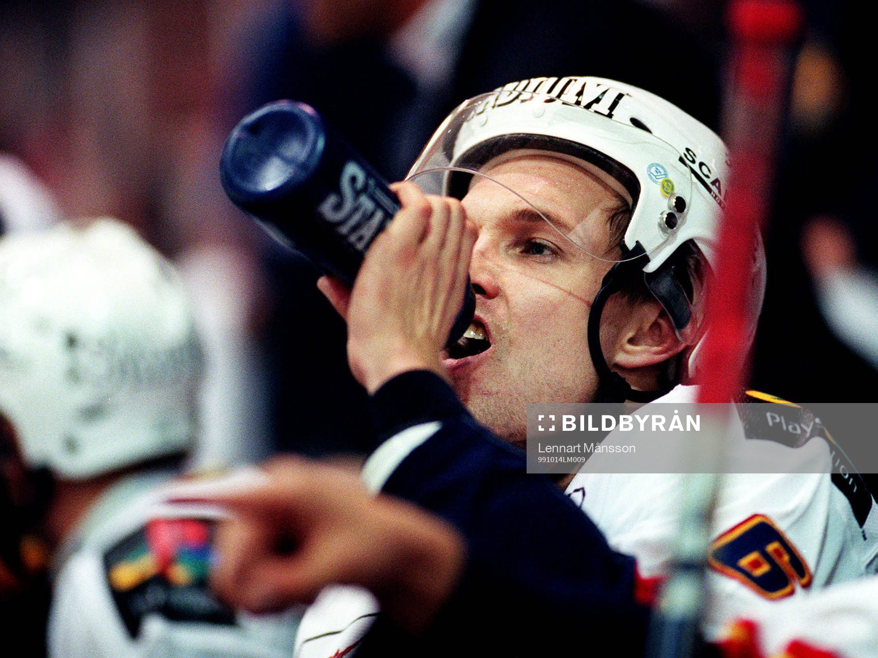 Ronnie Pettersson, Djurgården